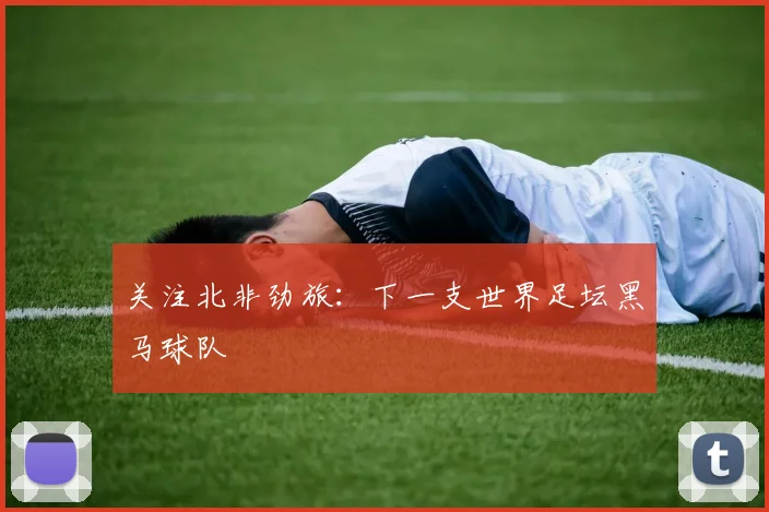 关注北非劲旅：下一支世界足坛黑马球队
